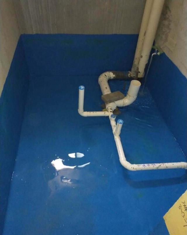 1567994947189752.jpeg 342ac65c10385343f524ce06fc3fd97bcb8088db.jpeg