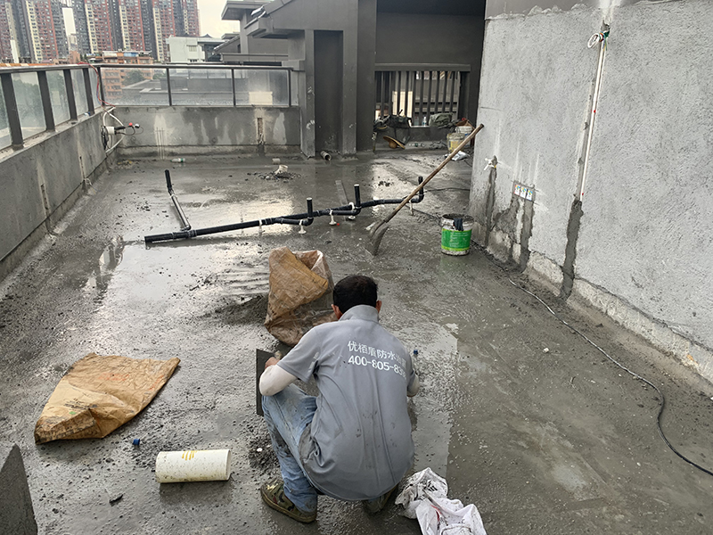 微信圖片_20240810155726 拷貝.jpg