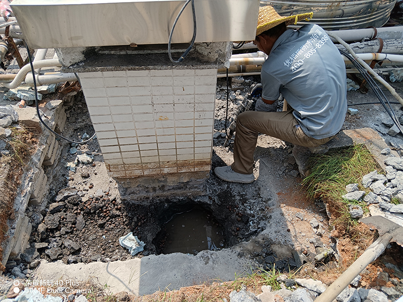 微信圖片_20241021162249 拷貝.jpg